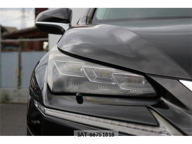 Lexus NX 2015-07 7877411-11