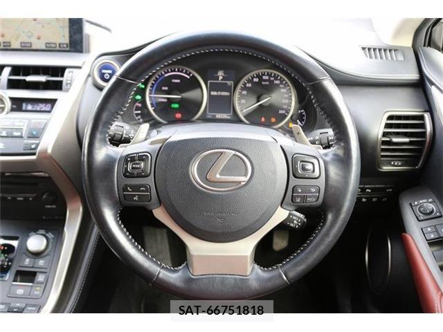 Lexus NX 2015-07 7877411-14