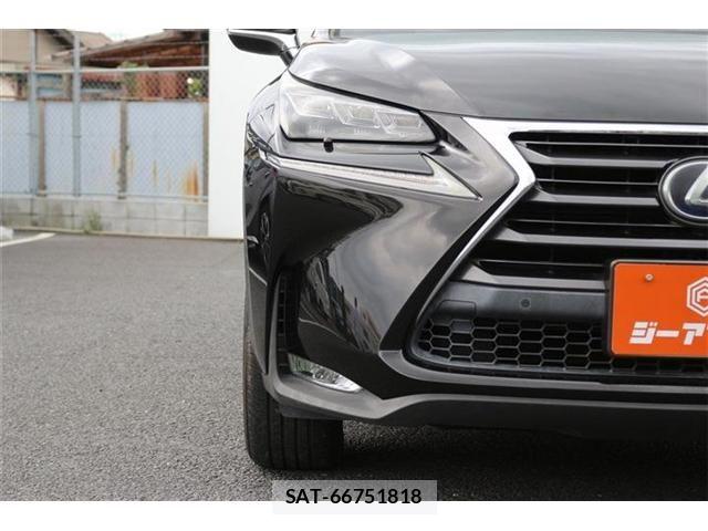 Lexus NX 2015-07 7877411-24