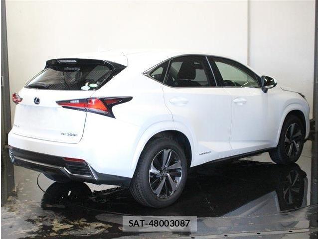 Lexus NX 2018-03 7962439-10