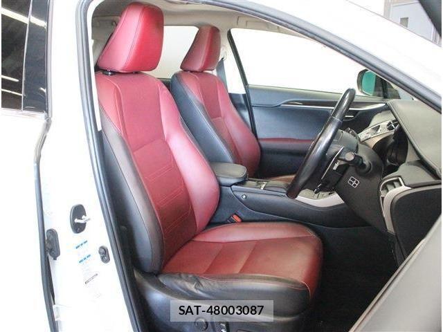 Lexus NX 2018-03 7962439-18