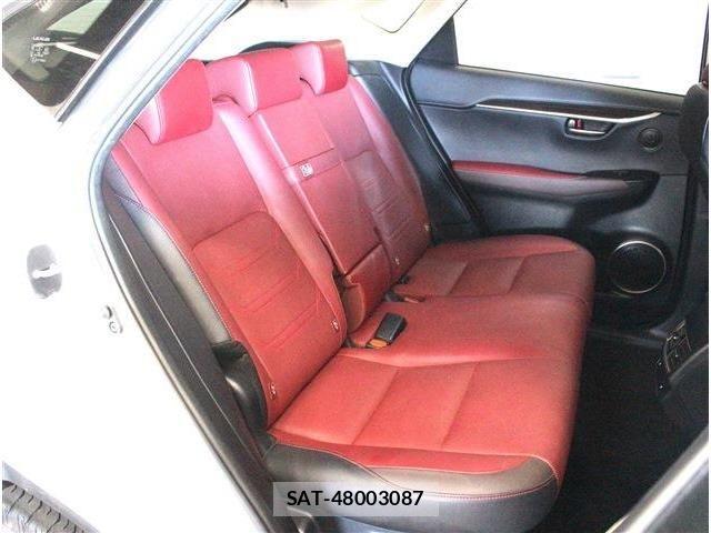 Lexus NX 2018-03 7962439-19