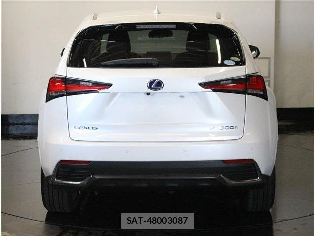 Lexus NX 2018-03 7962439-6
