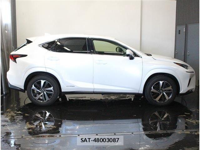 Lexus NX 2018-03 7962439-7