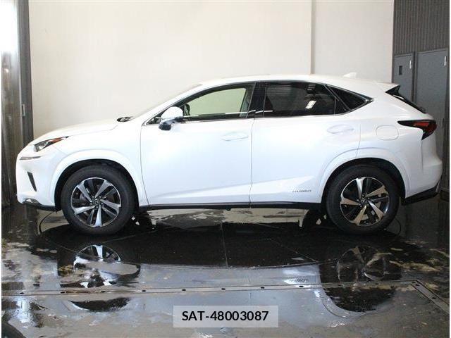Lexus NX 2018-03 7962439-8
