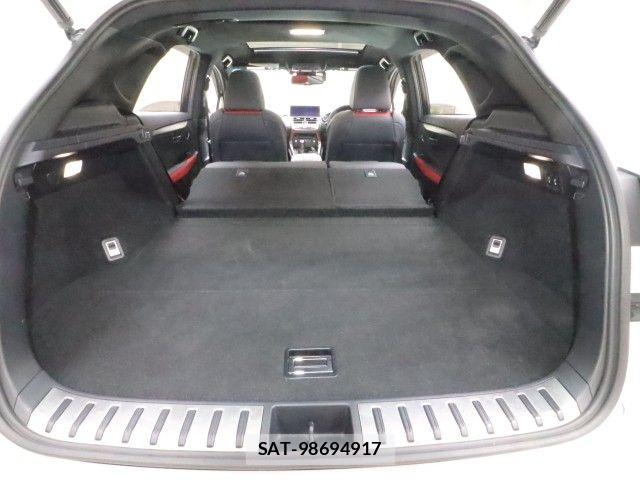 Lexus NX 2018-01 7979774-17