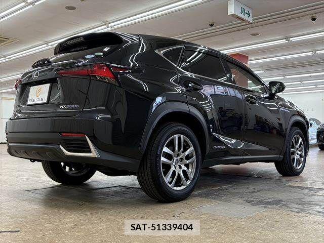 Lexus NX 2019-07 8036467-18