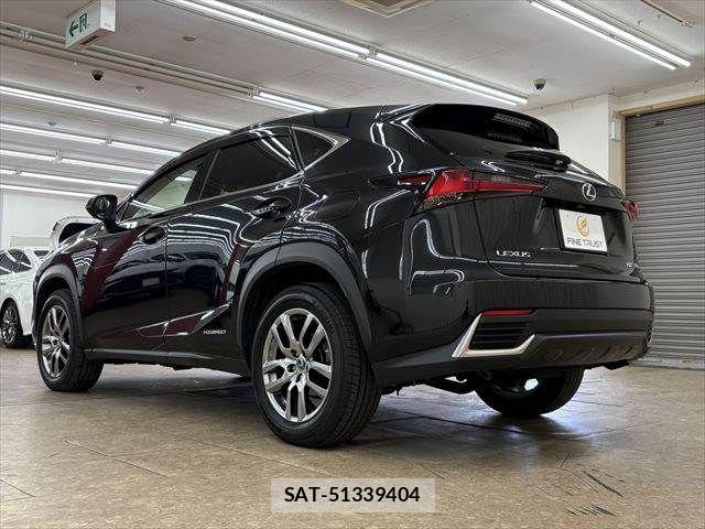 Lexus NX 2019-07 8036467-19