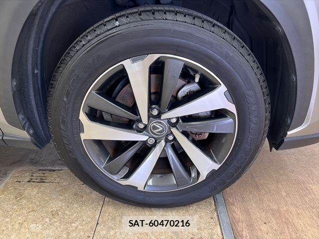 Lexus NX 2019-11 8036462-12