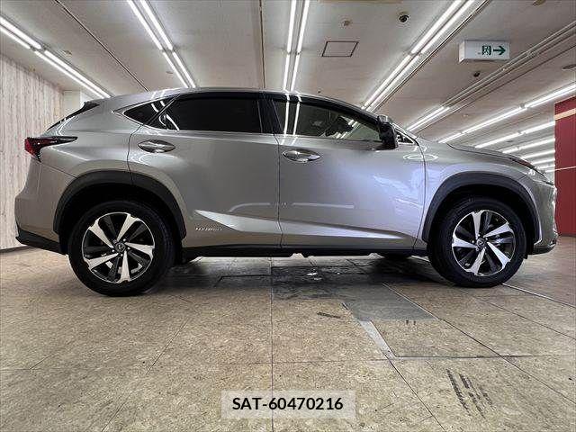 Lexus NX 2019-11 8036462-15