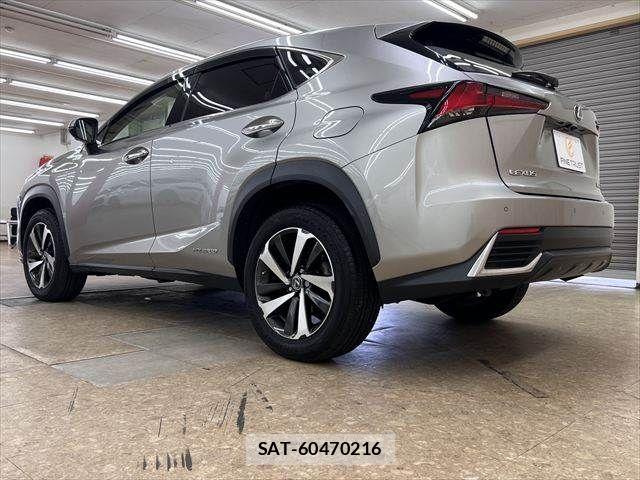 Lexus NX 2019-11 8036462-18