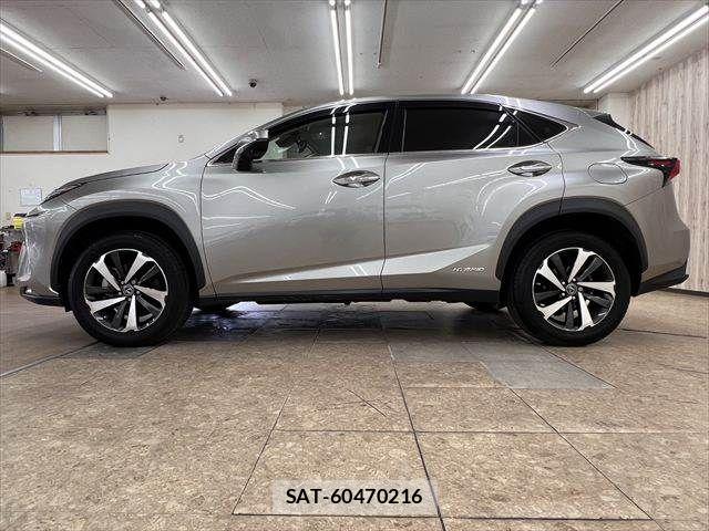 Lexus NX 2019-11 8036462-19