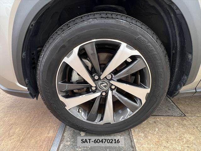 Lexus NX 2019-11 8036462-28