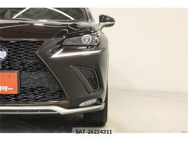 Lexus NX 2020-10 8036466-10