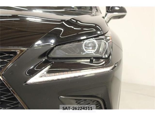 Lexus NX 2020-10 8036466-11