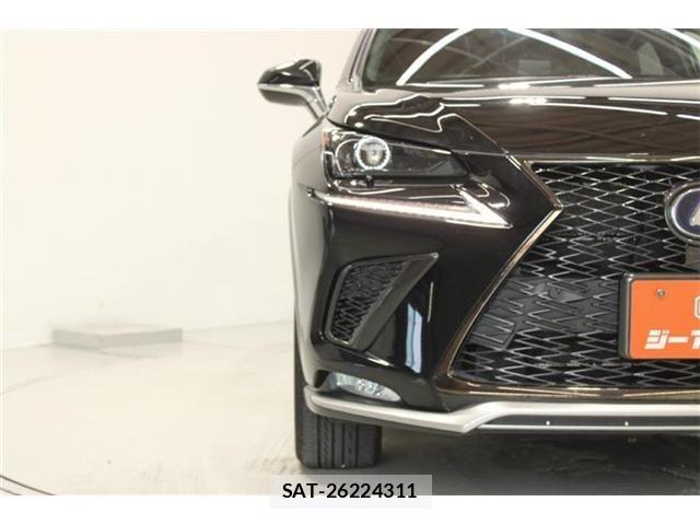 Lexus NX 2020-10 8036466-12