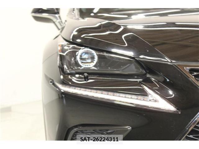 Lexus NX 2020-10 8036466-13
