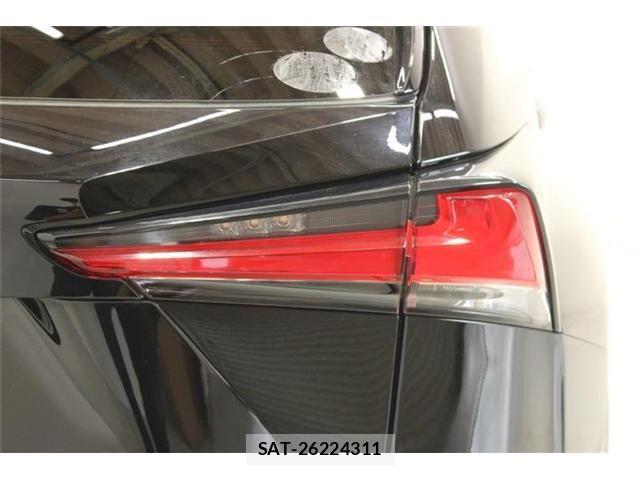 Lexus NX 2020-10 8036466-14