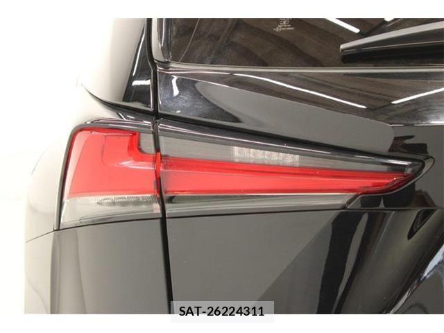 Lexus NX 2020-10 8036466-15