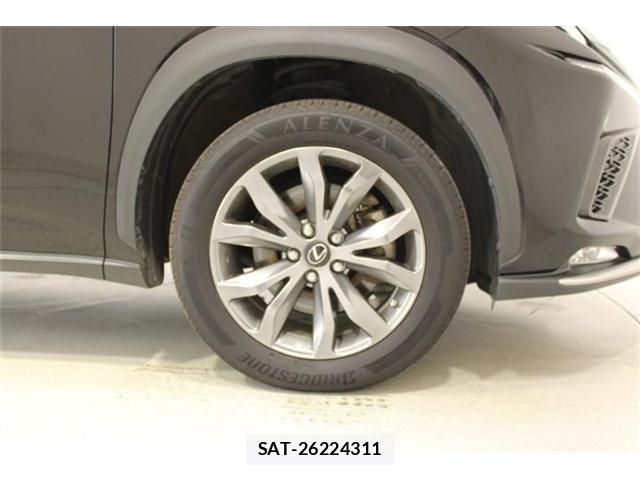 Lexus NX 2020-10 8036466-18