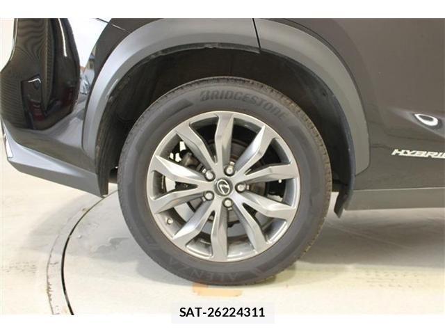 Lexus NX 2020-10 8036466-19