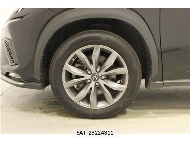 Lexus NX 2020-10 8036466-21