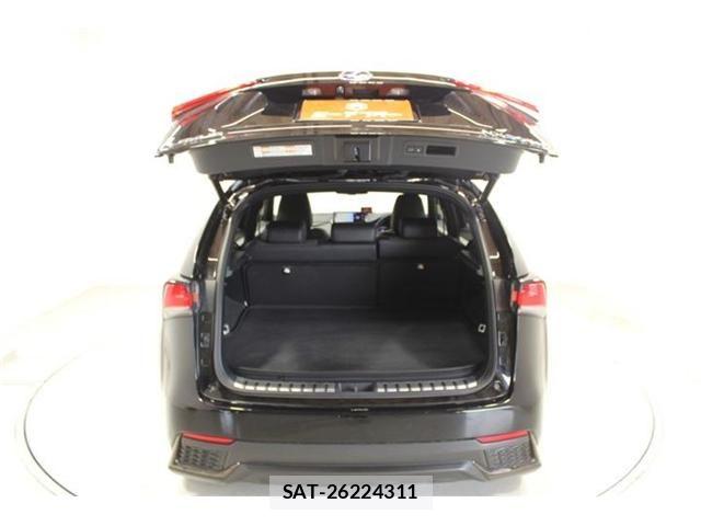 Lexus NX 2020-10 8036466-27