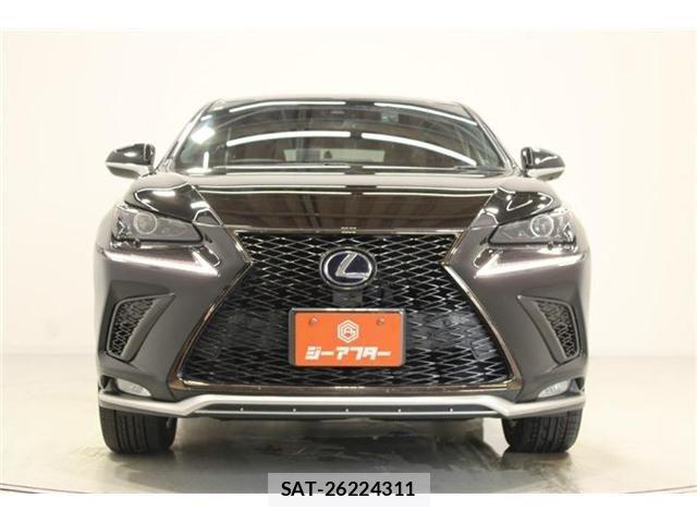 Lexus NX 2020-10 8036466-3