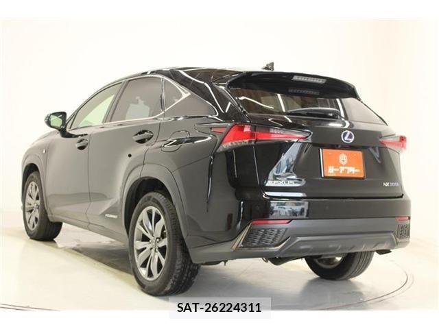 Lexus NX 2020-10 8036466-6