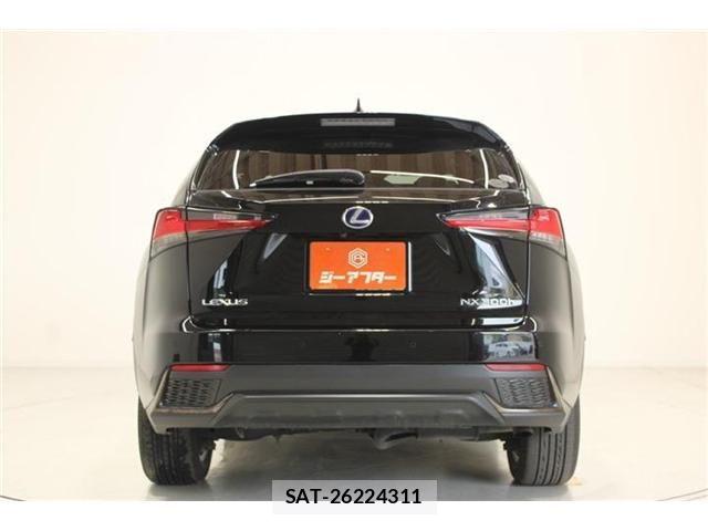 Lexus NX 2020-10 8036466-7