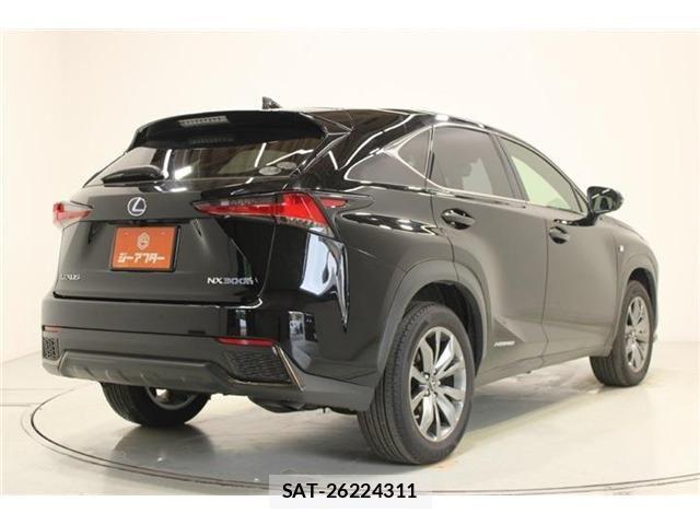 Lexus NX 2020-10 8036466-8