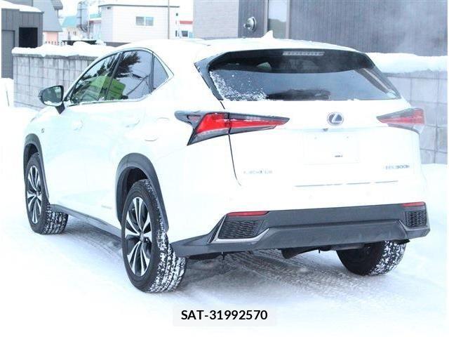 Lexus NX 2017-11 8100167-3