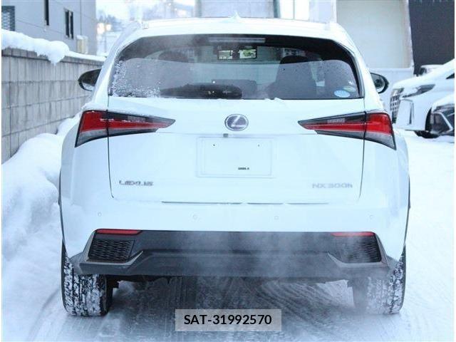 Lexus NX 2017-11 8100167-5