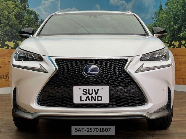 Lexus NX 2015-01 8131023-14