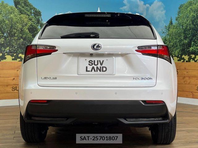 Lexus NX 2015-01 8131023-15