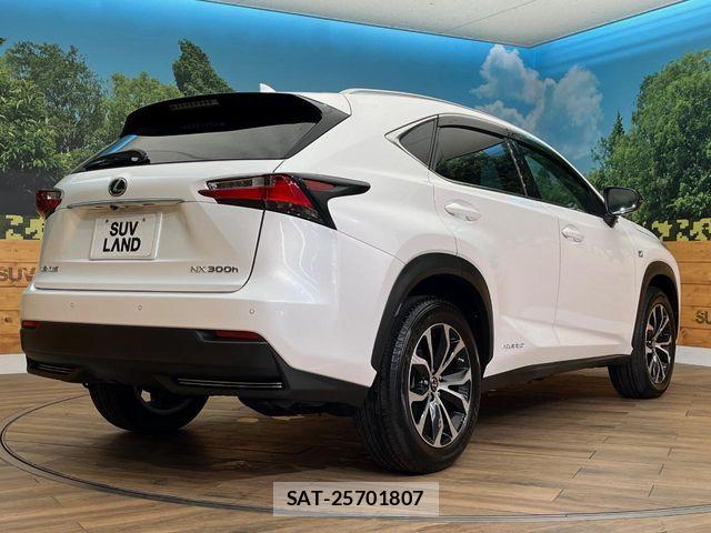 Lexus NX 2015-01 8131023-17
