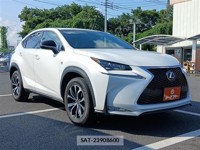 Lexus NX 2016-03 8131024-19