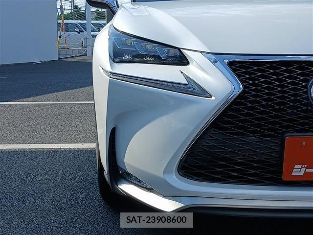 Lexus NX 2016-03 8131024-23