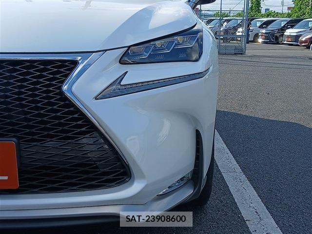 Lexus NX 2016-03 8131024-24