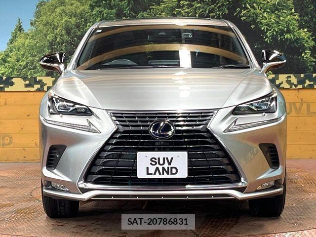 Lexus NX 2021-04 8245740-13