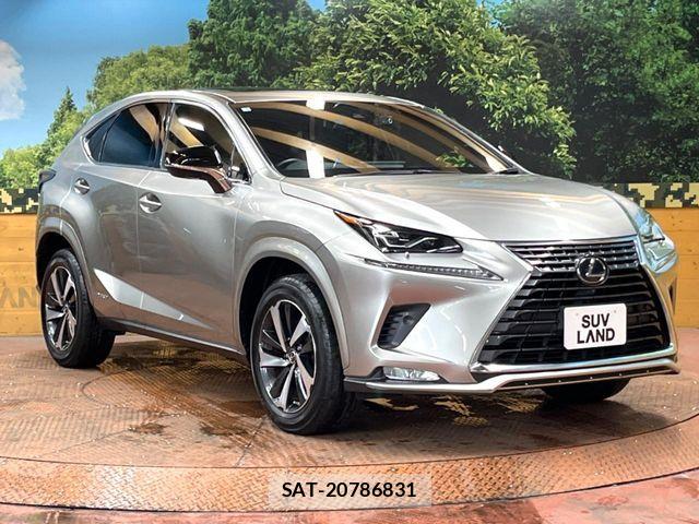 Lexus NX 2021-04 8245740-15