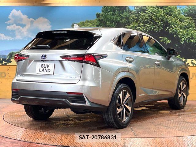 Lexus NX 2021-04 8245740-16