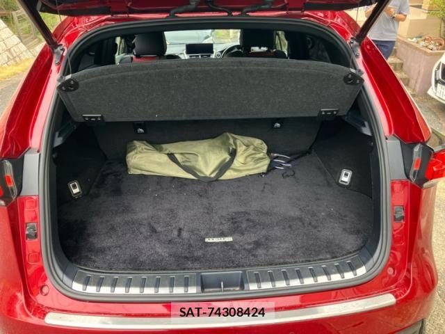 Lexus NX 2018-09 8366759-12