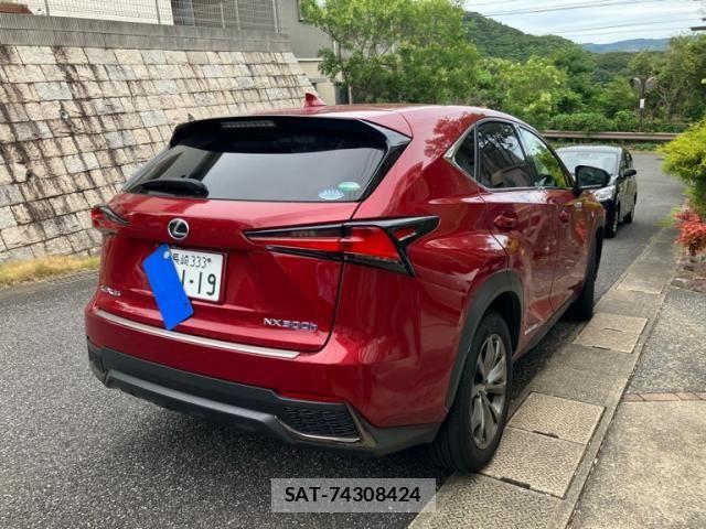 Lexus NX 2018-09 8366759-4