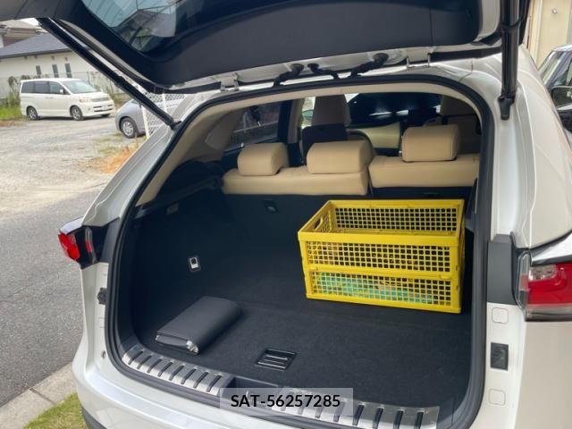 Lexus NX 2016-10 8371810-23