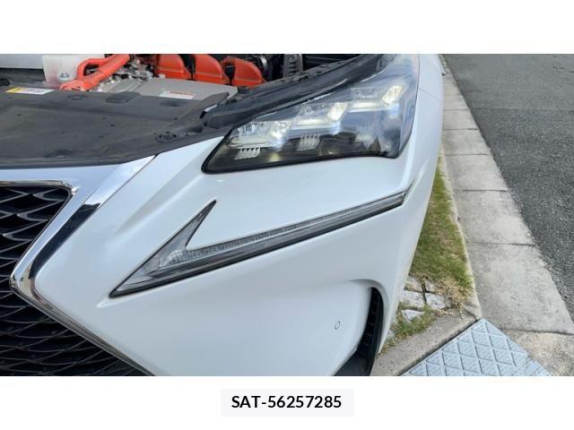 Lexus NX 2016-10 8371810-24