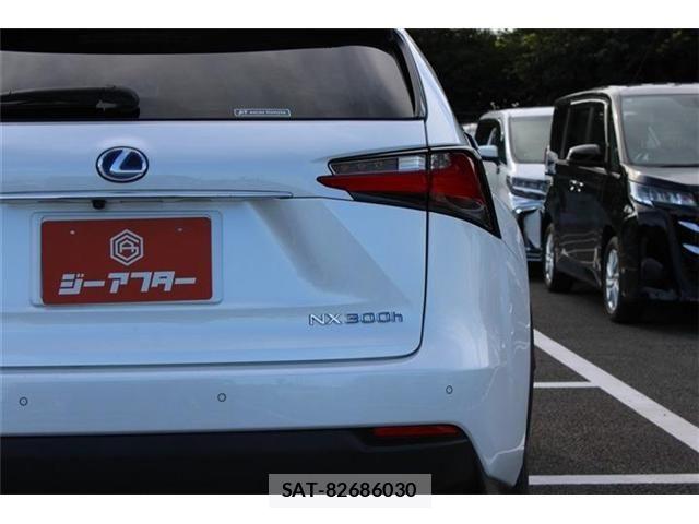 Lexus NX 2016-04 8457822-12