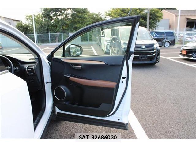 Lexus NX 2016-04 8457822-28