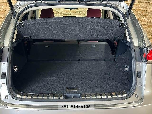 Lexus NX 2018-08 8485643-12