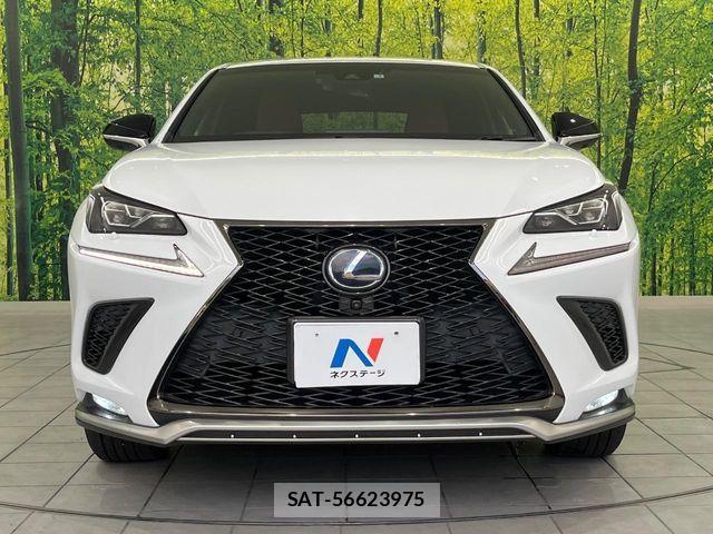Lexus NX 2019-01 8525571-13